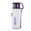 Milton Glassy Thermosteel Flask Online