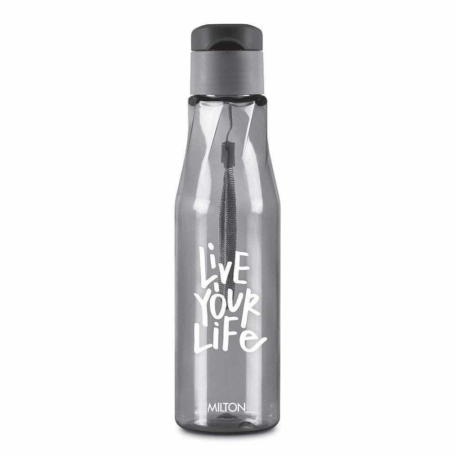 Milton Swirl Flip Pet Water Bottle Best